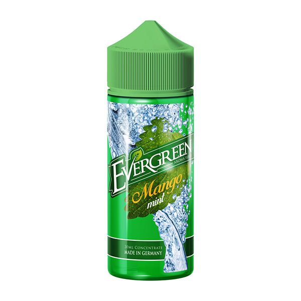 Evergreen - Mango Mint Aroma 8ml Longfill