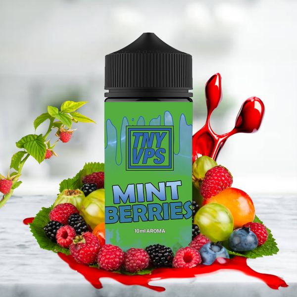 TNYVPS - Mint Berries Aroma 10ml Longfill Steuerware
