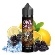 OWL Salt - Blackberry Lemon Aroma 10ml Longfill