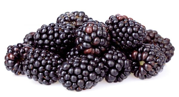 Aroma Brombeere