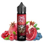 OWL Salt - Red Berries Aroma 10ml Longfill