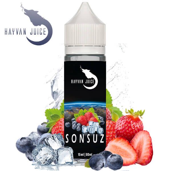Havyan Juice - Sonsuz Aroma 15ml Longfill